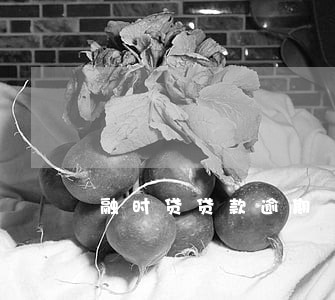 融时贷贷款逾期 ID被锁 融时贷贷款逾期 ID被锁
